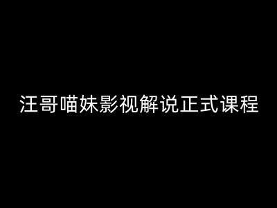 汪哥影视解说正式课程：剪映/PR教学/视解说剪辑5大黄金法则/全流程剪辑7把利器等等-富爸爸项目圈
