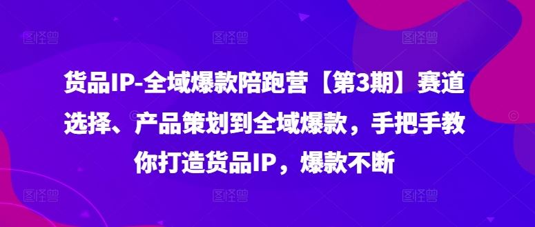 货品IP全域爆款陪跑营【第3期】赛道选择、产品策划到全域爆款，手把手教你打造货品IP，爆款不断-富爸爸项目圈
