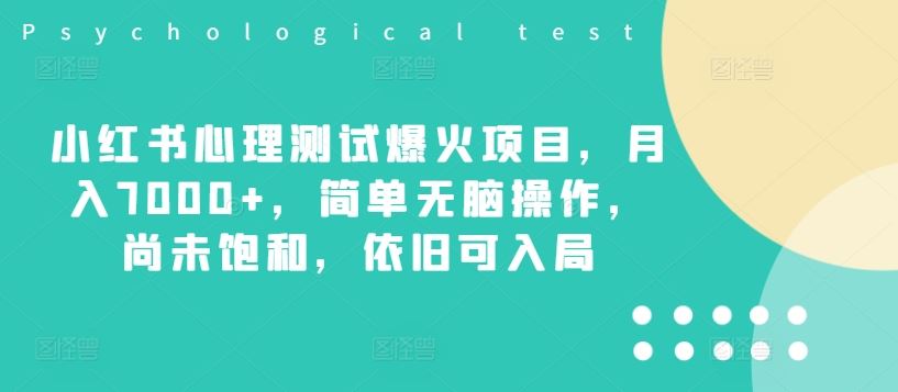 小红书心理测试爆火项目，月入7000+，简单无脑操作，尚未饱和，依旧可入局-富爸爸项目圈