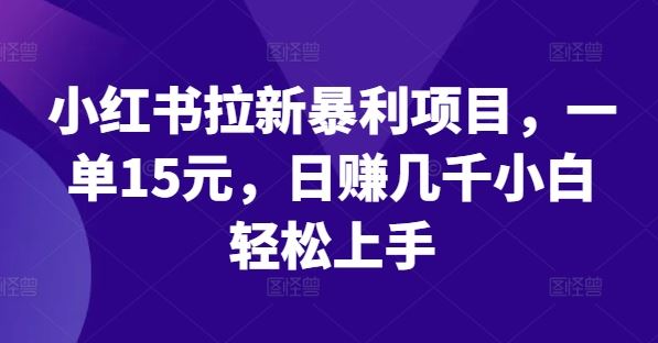 小红书拉新暴利项目，一单15元，日赚几千小白轻松上手【揭秘】-富爸爸项目圈