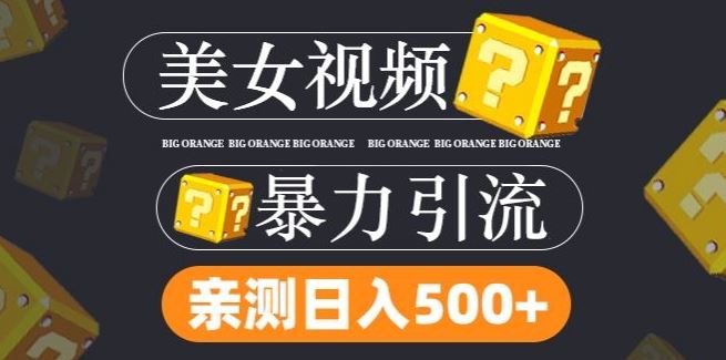 搬运tk美女视频全网分发，日引s粉300+，轻松变现，不限流量不封号【揭秘】-富爸爸项目圈