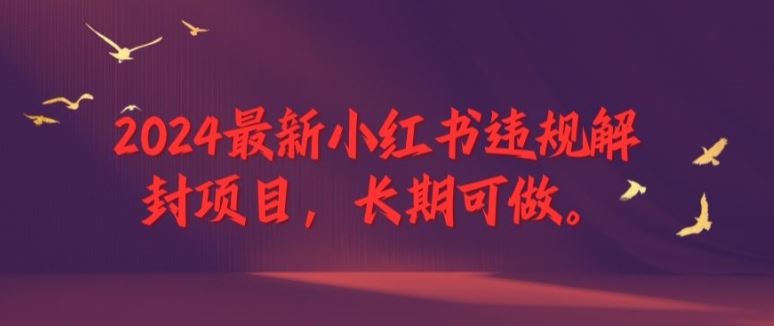 2024最新小红书违规解封项目，长期可做，一个可以做到退休的项目【揭秘】-富爸爸项目圈