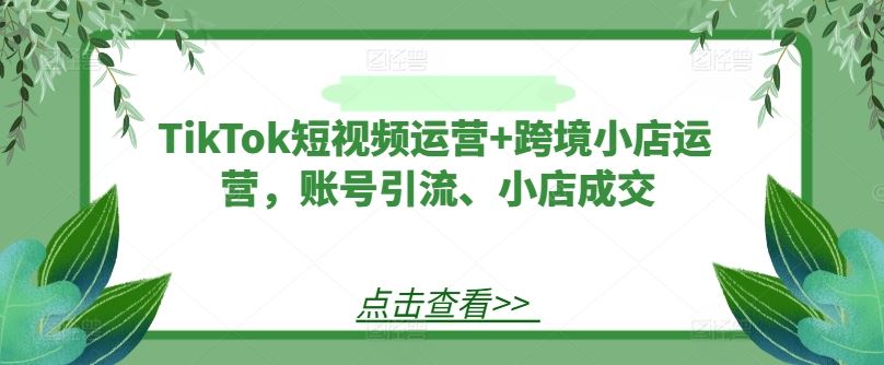 TikTok短视频运营+跨境小店运营，账号引流、小店成交-富爸爸项目圈