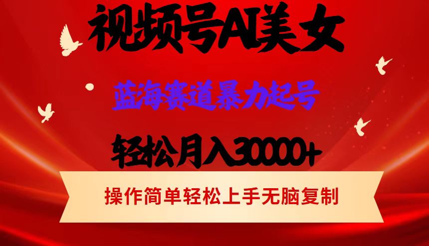 （12178期）视频号AI美女跳舞，轻松月入30000+，蓝海赛道，流量池巨大，起号猛，当…-富爸爸项目圈