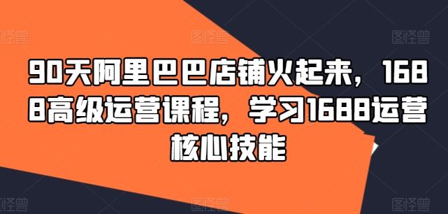 90天阿里巴巴店铺火起来，1688高级运营课程，学习1688运营核心技能-富爸爸项目圈