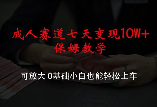 成人赛道七天变现10W+保姆教学，可放大，0基础小白也能轻松上车【揭秘】-富爸爸项目圈