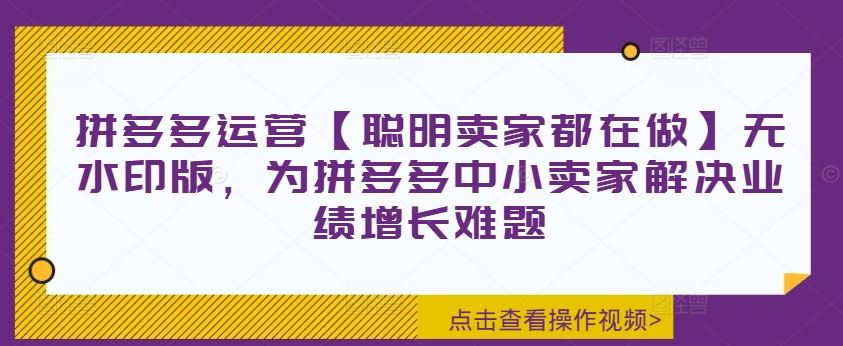 拼多多运营【聪明卖家都在做】无水印版，为拼多多中小卖家解决业绩增长难题-富爸爸项目圈