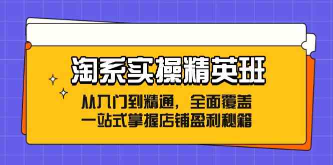 淘系实操精英班：从入门到精通，全面覆盖，一站式掌握店铺盈利秘籍-富爸爸项目圈