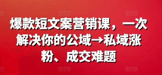 爆款短文案营销课，一次解决你的公域→私域涨粉、成交难题-富爸爸项目圈