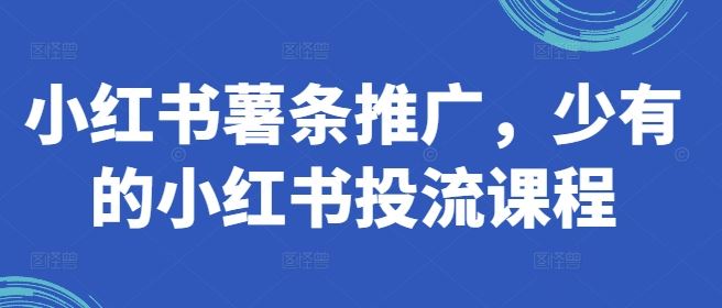 小红书薯条推广，少有的小红书投流课程-富爸爸项目圈
