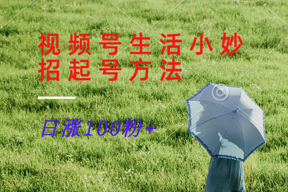 视频号生活小妙招分享赛道， 起号涨粉新方法，日涨100粉-富爸爸项目圈