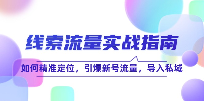 （12382期）线 索 流 量-实战指南：如何精准定位，引爆新号流量，导入私域-富爸爸项目圈