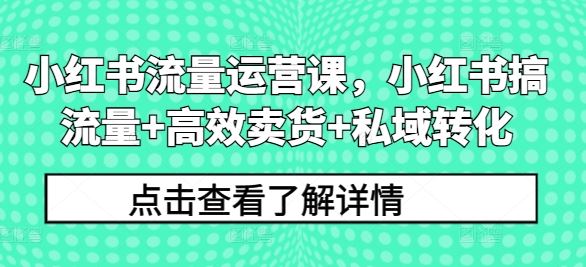 小红书流量运营课，小红书搞流量+高效卖货+私域转化-富爸爸项目圈
