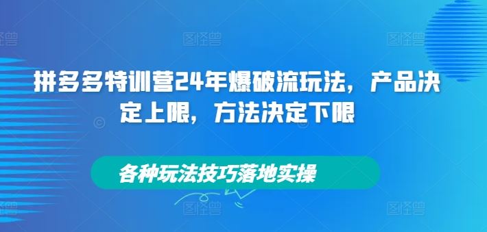 拼多多特训营24年爆破流玩法，产品决定上限，方法决定下限，各种玩法技巧落地实操-富爸爸项目圈