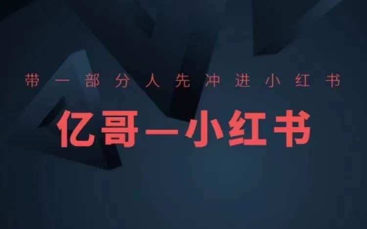 ​​带一部分人先冲进小红书，小红书开店、选品、爆款裂变-富爸爸项目圈