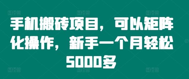 手机搬砖项目，可以矩阵化操作，新手一个月轻松5000多-富爸爸项目圈