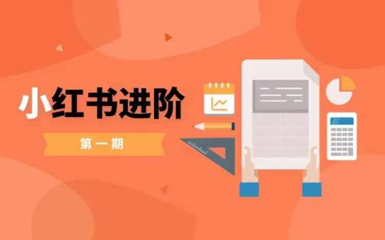 小红书进阶篇，零基础小白实战课，普通人变现的课程-富爸爸项目圈