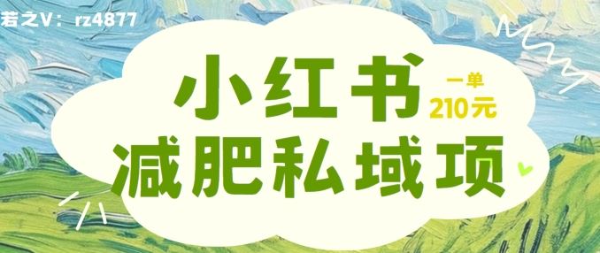 小红书减肥粉，私域变现项目，一单就达210元，小白也能轻松上手【揭秘】-富爸爸项目圈