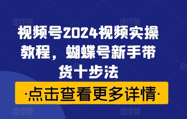 视频号2024视频实操教程，蝴蝶号新手带货十步法-富爸爸项目圈