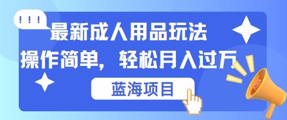 最新成人用品项目玩法，操作简单，动动手，轻松日入几张【揭秘】-富爸爸项目圈
