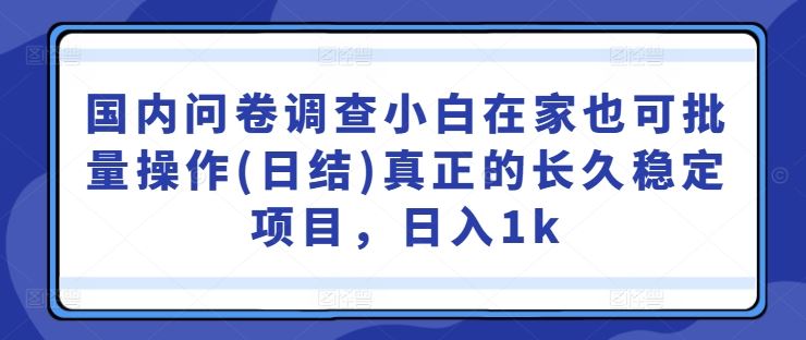国内问卷调查小白在家也可批量操作(日结)真正的长久稳定项目，日入1k【揭秘】-富爸爸项目圈