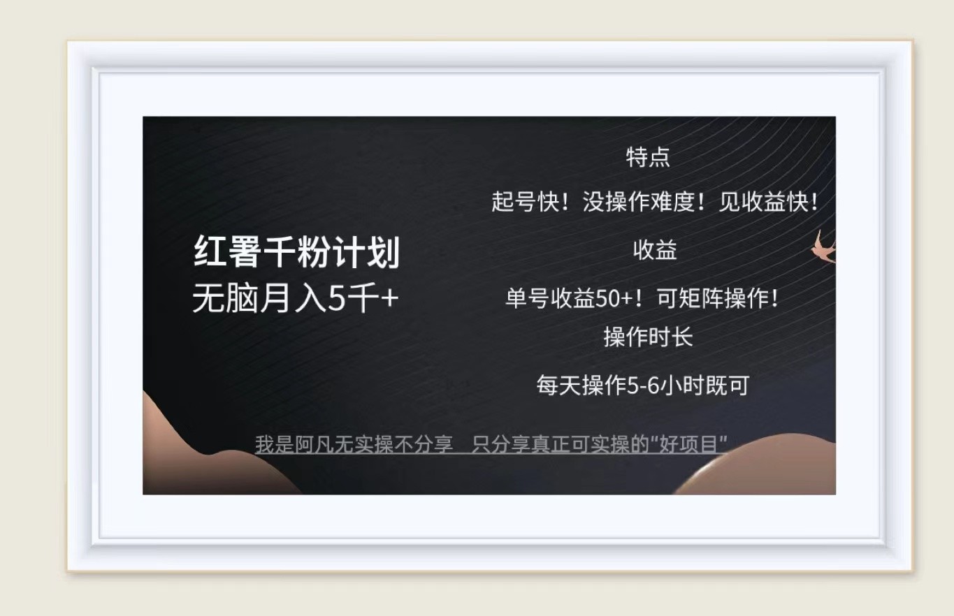 红薯千粉计划无脑月入5千+！既做既赚！-富爸爸项目圈
