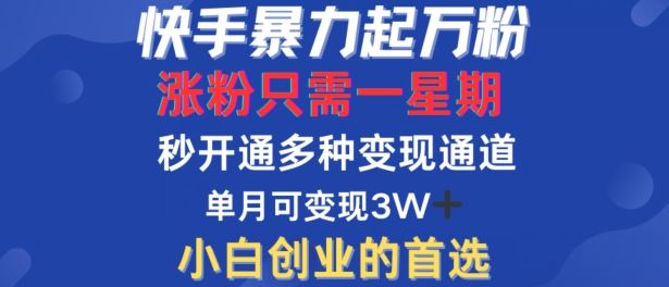 快手暴力起万粉，涨粉只需一星期，多种变现模式，直接秒开万合，单月变现过W【揭秘】-富爸爸项目圈