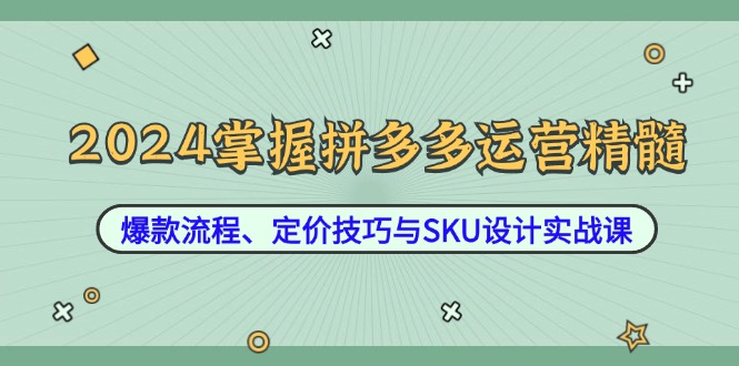 （12703期）2024掌握拼多多运营精髓：爆款流程、定价技巧与SKU设计实战课-富爸爸项目圈