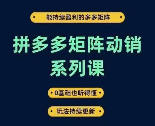 拼多多矩阵动销系列课，能持续盈利的多多矩阵，0基础也听得懂，玩法持续更新-富爸爸项目圈