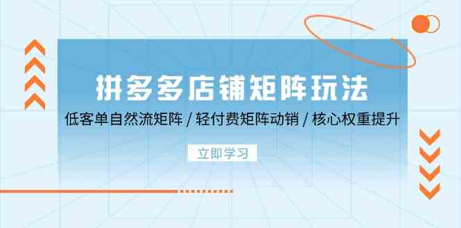 拼多多店铺矩阵玩法：低客单自然流矩阵 / 轻付费矩阵 动销 / 核心权重提升-富爸爸项目圈