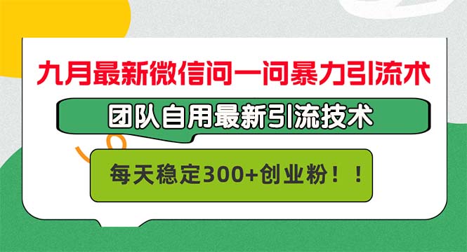 （12735期）九月最新微信问一问暴力引流术，团队自用引流术，每天稳定300+创…-富爸爸项目圈