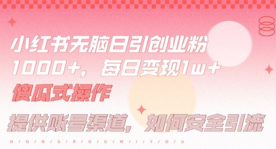 小红书无脑每日引流创业粉500+，小白每天只花半小时，躺赚长尾收益【揭秘】-富爸爸项目圈
