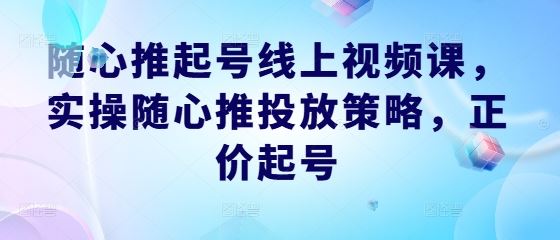 随心推起号线上视频课，实操随心推投放策略，正价起号-富爸爸项目圈