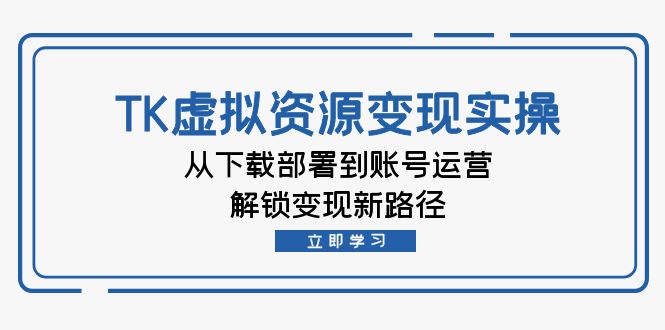 （12770期）TK虚拟资源变现实操：从下载部署到账号运营，解锁变现新路径-富爸爸项目圈