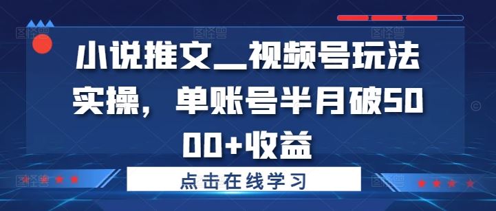 小说推文—视频号玩法实操，单账号半月破5000+收益-富爸爸项目圈