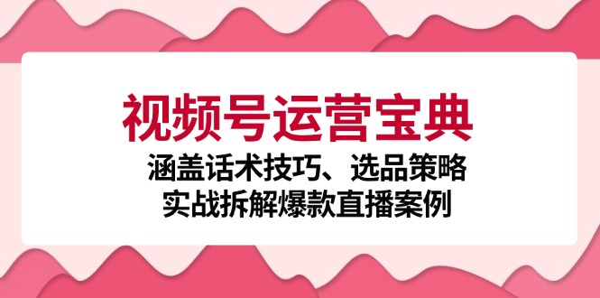 （12808期）视频号运营宝典：涵盖话术技巧、选品策略、实战拆解爆款直播案例-富爸爸项目圈