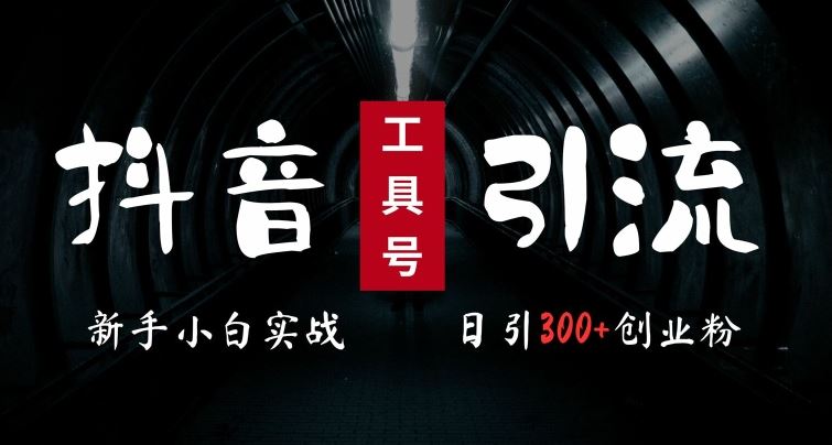 2024最新抖音工具号引流玩法，高效日引300+创业粉，当天变现5k，小白也可成为实战高手-富爸爸项目圈