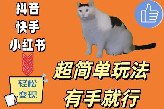 超简单玩法，有手就行，靠猫咪视频日入500+【揭秘】-富爸爸项目圈