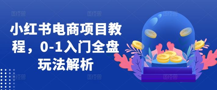 小红书电商项目教程，0-1入门全盘玩法解析-富爸爸项目圈