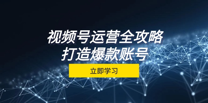 （12912期）视频号运营全攻略，从定位到成交一站式学习，视频号核心秘诀，打造爆款…-富爸爸项目圈