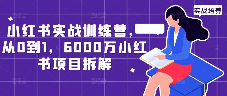 小红书实战训练营，从0到1，6000万小红书项目拆解-富爸爸项目圈