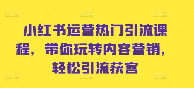 小红书运营热门引流课程，带你玩转内容营销，轻松引流获客-富爸爸项目圈