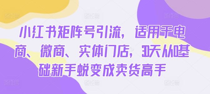 小红书矩阵号引流，适用于电商、微商、实体门店，30天从0基础新手蜕变成卖货高手-富爸爸项目圈