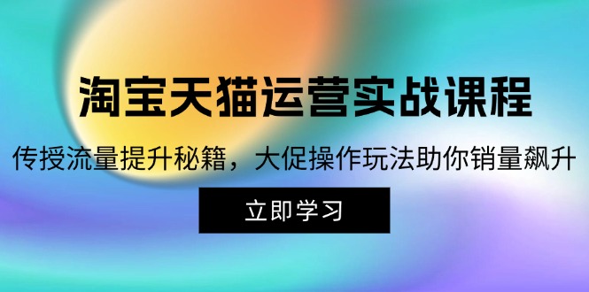 （12959期）淘宝&天猫运营实战课程，传授流量提升秘籍，大促操作玩法助你销量飙升-富爸爸项目圈