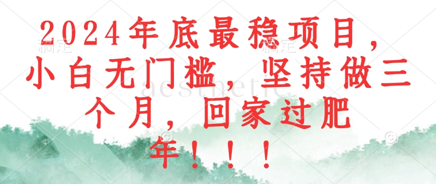 （12970期）2024年底最稳项目，小白无门槛，坚持做三个月，回家过肥年！！！-富爸爸项目圈