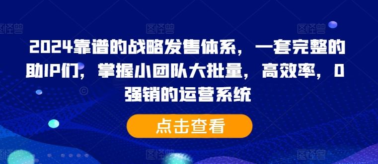 2024靠谱的战略发售体系，一套完整的助IP们，掌握小团队大批量，高效率，0 强销的运营系统-富爸爸项目圈