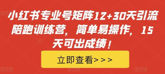 小红书专业号矩阵12+30天引流陪跑训练营，简单易操作，15天可出成绩!-富爸爸项目圈