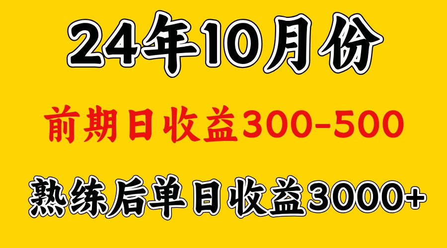 高手是怎么赚钱的.前期日收益500+熟练后日收益3000左右-富爸爸项目圈