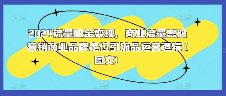 2024流量吸金变现，商业流量密码营销商业品牌定位引流品运营逻辑(图文)-富爸爸项目圈