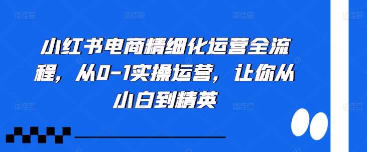 小红书电商精细化运营全流程，从0-1实操运营，让你从小白到精英-富爸爸项目圈